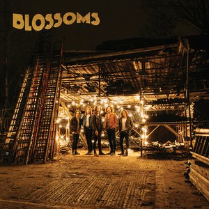 Featured image for “Blossoms”